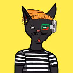Faded Feline #46