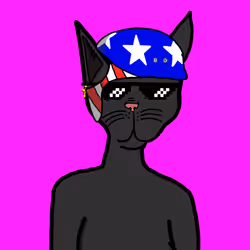 Faded Feline #28