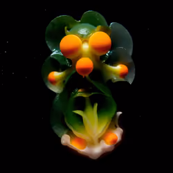 Sphaera Vibrans