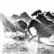 horses - ALQ79Esv5k