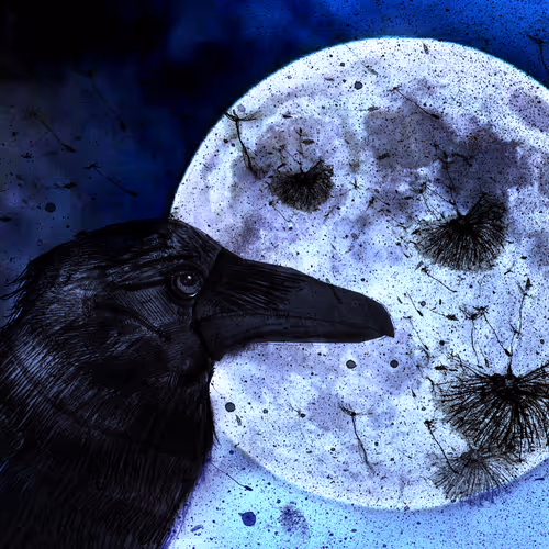 Arcane Animalia