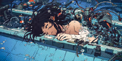 Item Media