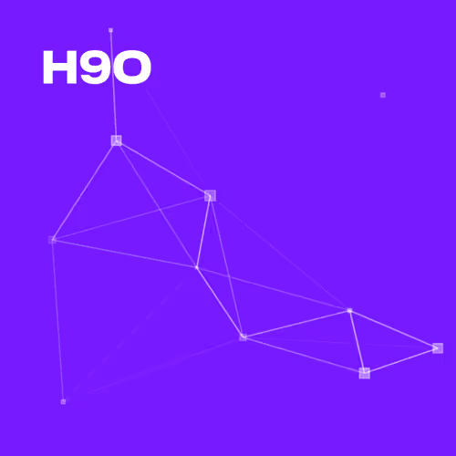 H9O