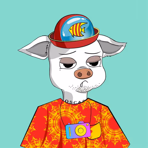 Cutepigclub
