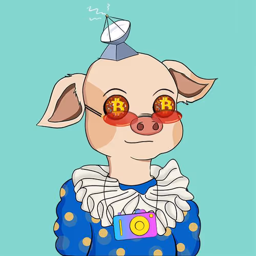 Cutepigclub