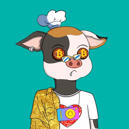 Cutepigclub
