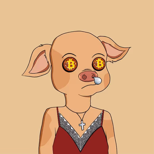 Cutepigclub