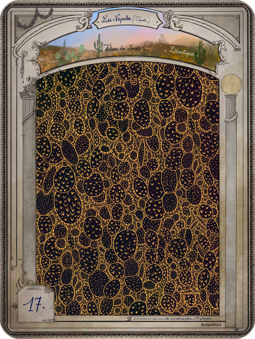 Item #11 Media