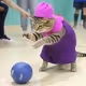 1367
