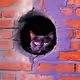 716