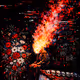 EMBER REMAINNS