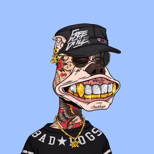 Baddogscompany
