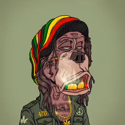 BDC#420