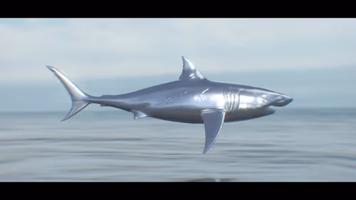 Item #15100020102 Media