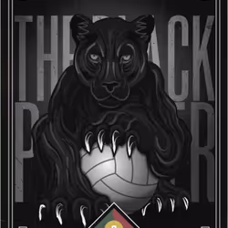 The Black Panther