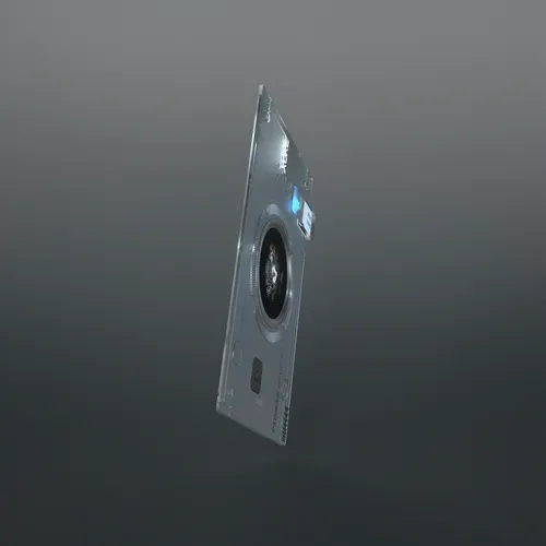 Item #61 Media
