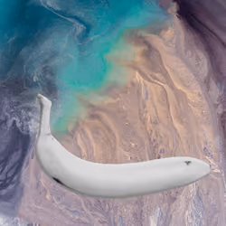 bananart #7