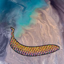 bananart #98