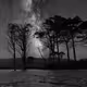 Monochrome Silence