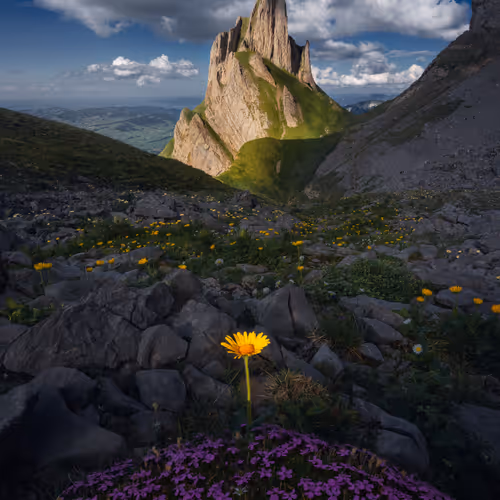Marco Grassi Editions