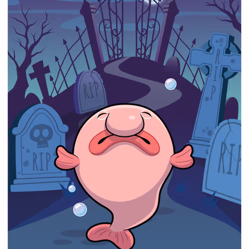 Bashful Blobfish #42802
