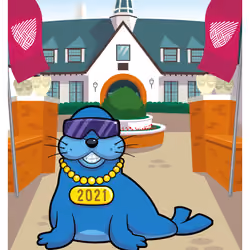 Swaggy Sea Lion #23528