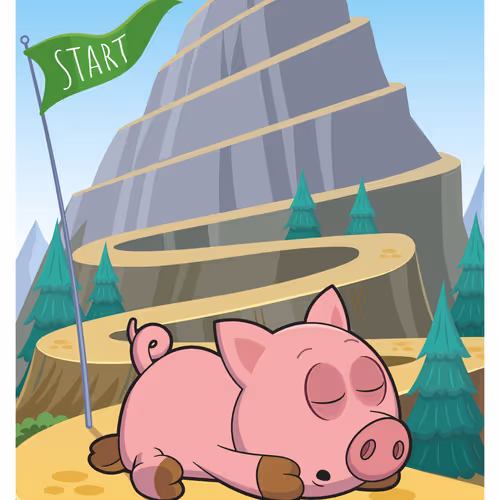 Patient Pig #41223