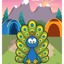 Practical Peacock #32639