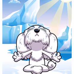 Magnanimous Maltese #30719