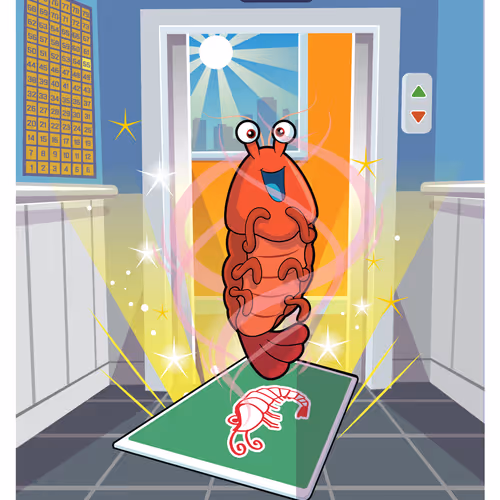 Sufficient Shrimp #8744