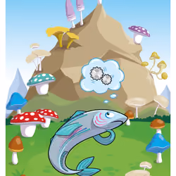 Spiffy Salmon #23476