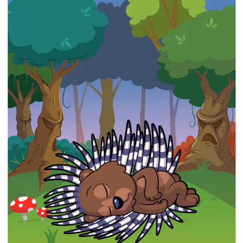 Positive Porcupine #41674