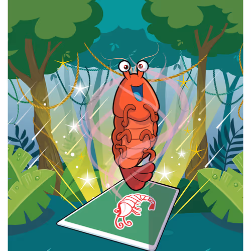Sufficient Shrimp #8739