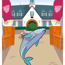 Spiffy Salmon #29172