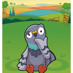 Perspective Pigeon #19453