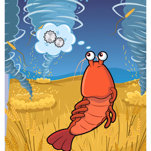 Sufficient Shrimp #17457