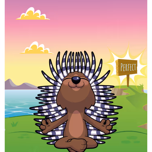 Positive Porcupine #15692