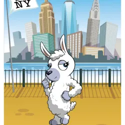 Legit Llama #36922