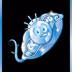 Pea Salad #6996