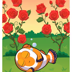 Candid Clownfish #31924