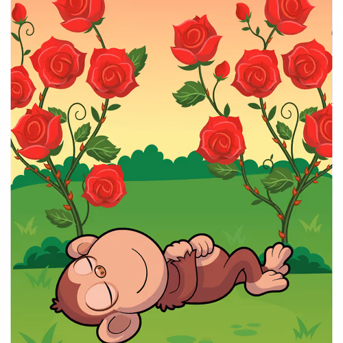 Moral Monkey #50491