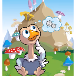 Organized Ostrich #44564