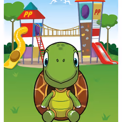 Tolerant Tortoise #12580