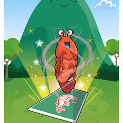 Sufficient Shrimp #8747
