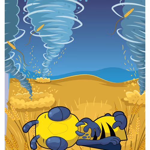 Wise Wasp #27193