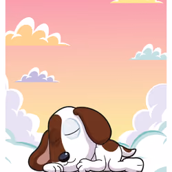 Dialed In Dog #12146