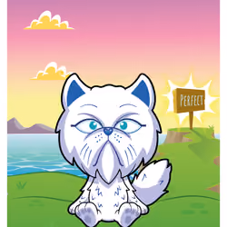 Perfect Persian Cat #31079