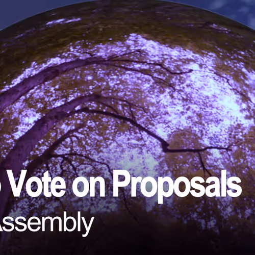 How To Vote On Proposals