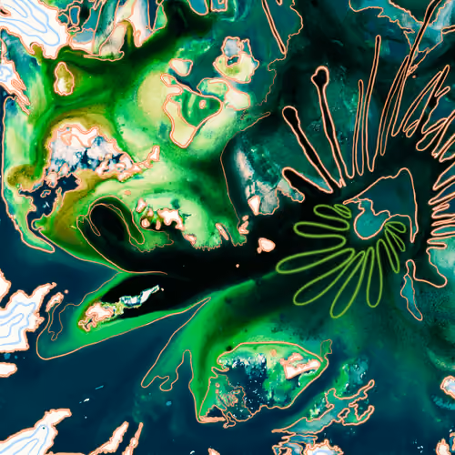 Aquatica #264
