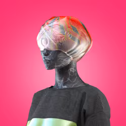 Faceless #589